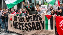 Pro-Palestinian protesters attempt to disrupt New Year's Eve festivities in New York City, Boston