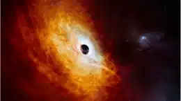 Brightest and hungriest black hole ever detected